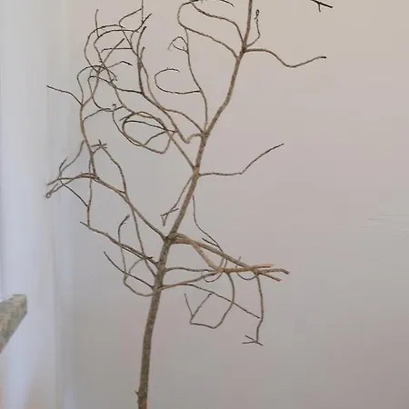 Ml Mar * Carvoeiro (Lagoa)