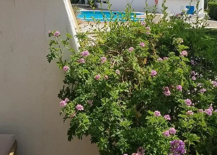 Apartament Ml Mar Carvoeiro (Lagoa)